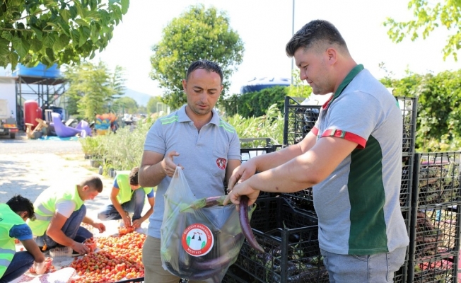 Yerel tohumdan üretilen ürünler, ihtiyaç sahiplerine ulaştırılıyor