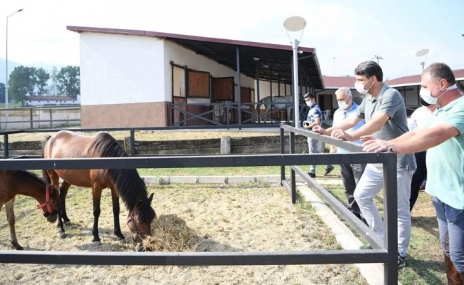 Başkan Kocaman’dan atla terapiye davet