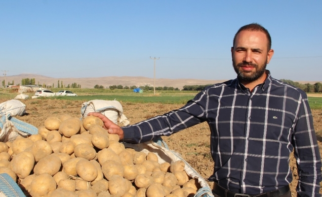 Cipslik patates satış fiyatları üreticisinin yüzünü güldürüyor