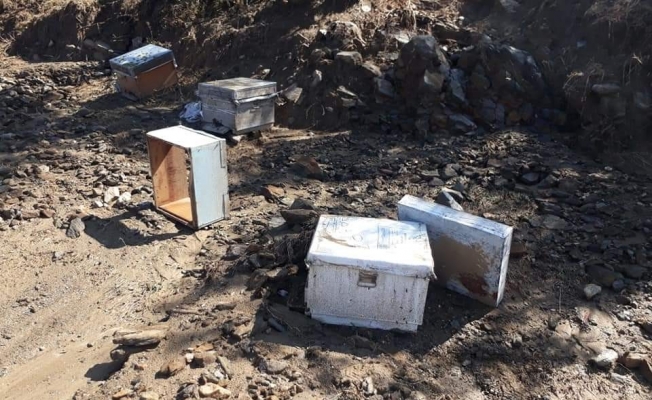 Denizli’de etkili olan sağanak arıcılık yapan vatandaşı mağdur etti