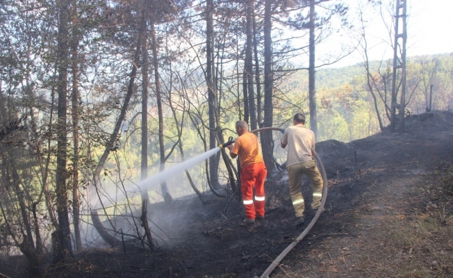 İnebolu’da aynı gün çıkan 2 ayrı yangın korkuttu