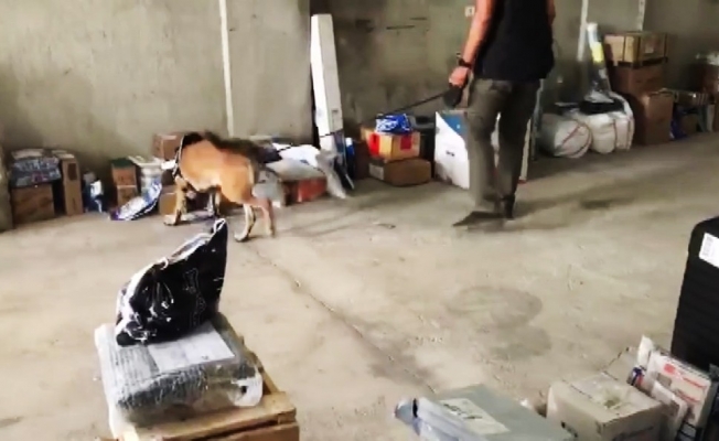 Kargo ile uyuşturucu sevkiyatına operasyon