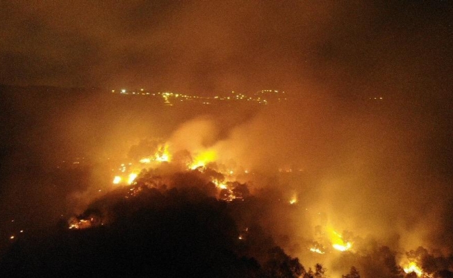 Pendik’te korkutan orman yangını