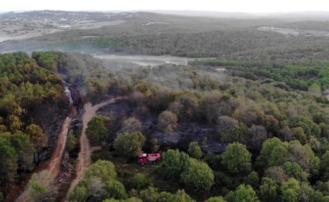 Pendik’te yangının tahribatı gün ağarınca ortaya çıktı