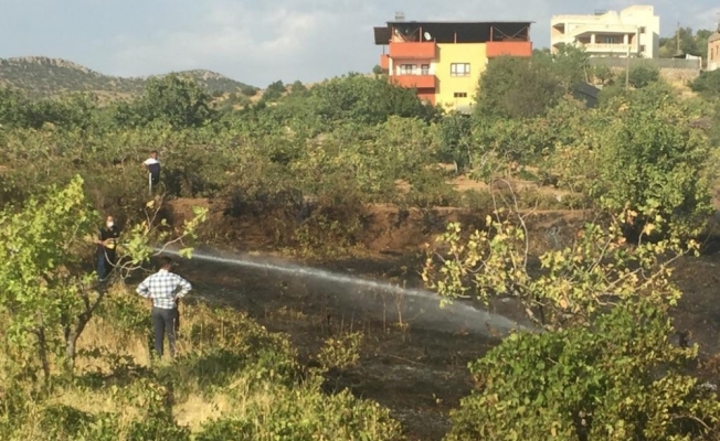 Siirt’te bahçede çıkan yangın evlere sıçramadan söndürüldü