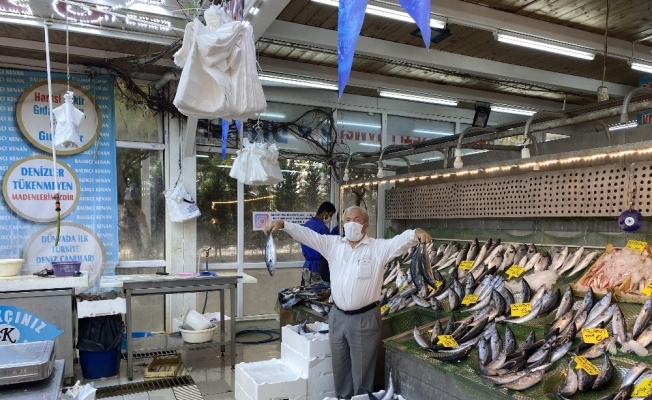 Tezgahlarda palamut bayramı