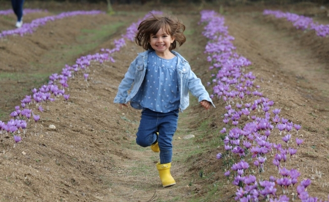 4.Safran Festivali gerçekleşi