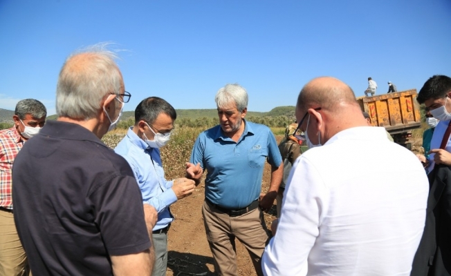 Beyaz altında hasat dönemi başladı