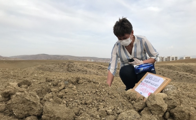 Çocuğu gibi baktığı kedisini gözyaşları içinde toprağa verdi