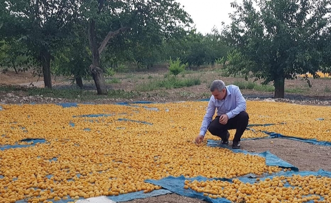 Doğu’da en fazla ihracat Malatya’dan gerçekleştiriliyor