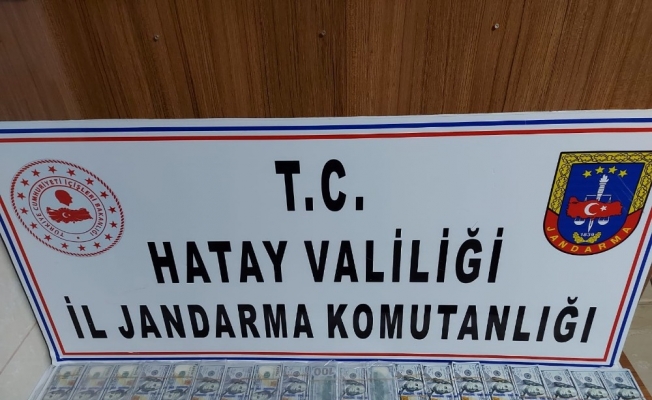 Hatay’da sahte para operasyonu