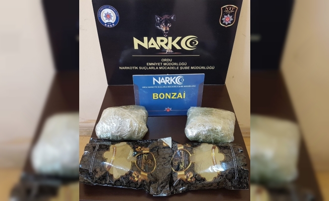 Ordu’da uyuşturucu operasyonu: 1 tutuklama