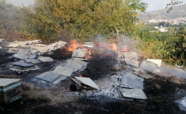 Samandağ’daki yangın sigara izmaritten çıkmış