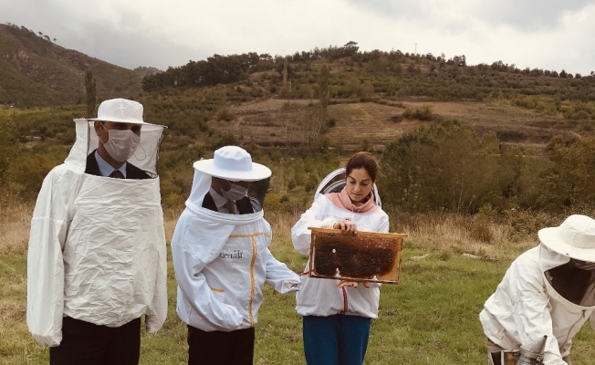 Vali Aktaş, kestane balı hasat sağımına katıldı