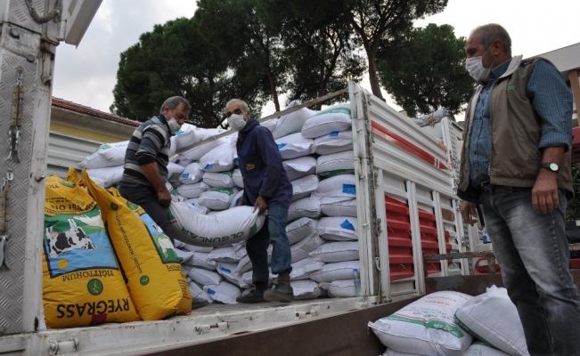 30 çiftçiye yüzde 75’i hibe destekli yem bitkisi dağıtıldı