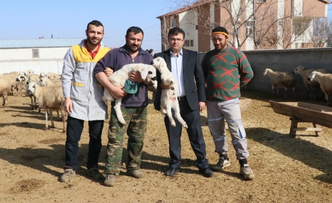 Aksaray’da "Köyümde Yaşamak İçin Bir ’Sürü’ Nedenim Var" Projesi başladı