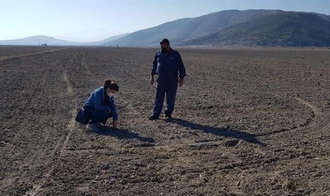 Isparta’da yerli tohum denemeleri