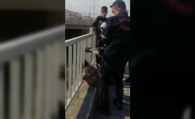 Kafası demir korkuluklara sıkıştı