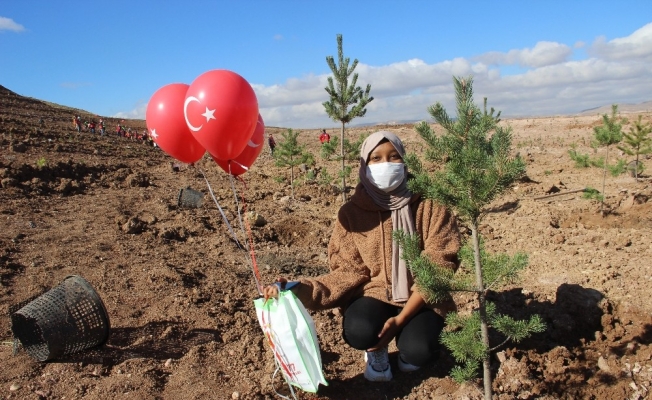 Kilometrelerce uzaktan gelip, Sivas’ta fidanları toprakla buluşturdular