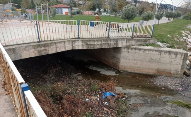Kocaeli’de sahilde erkek cesedi bulundu
