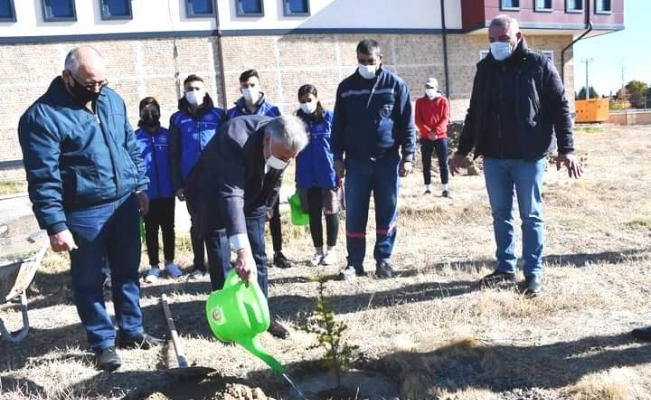 Kulu’da fidan dikimi gerçekleştirildi