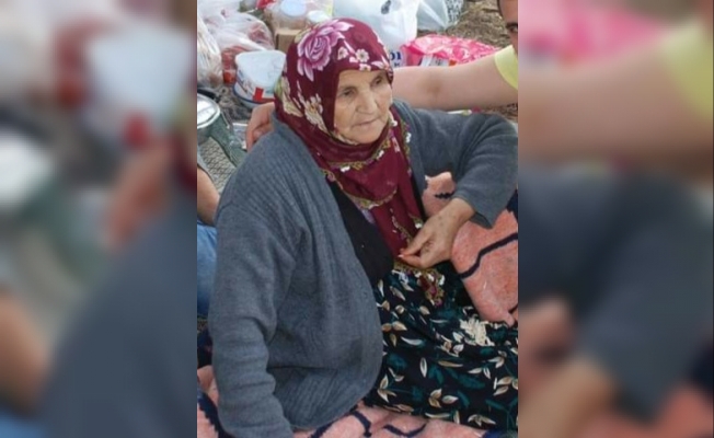 Mantar toplamayan giden yaşlı kadın dağda kayboldu
