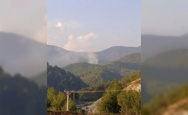 Samandağ’da orman yangını