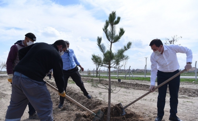 Karatay Belediyesi’nin “Yeşil Seferberliği” 2021 yılında da sürecek