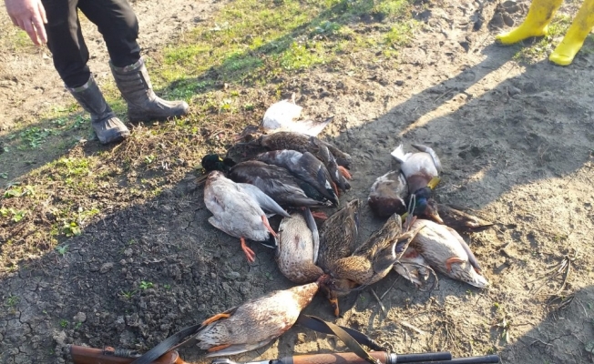Öğretmenden Kuş Cenneti’nde ördek katliamı