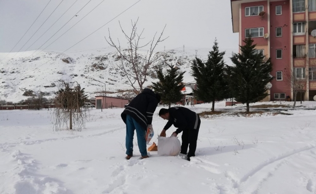 Adilcevaz Belediyesi doğaya yiyecek bıraktı