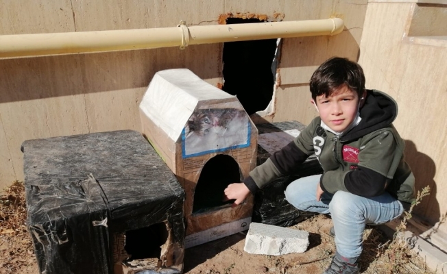 Aksaray’da çocuklar sokak hayvanlarını unutmadı