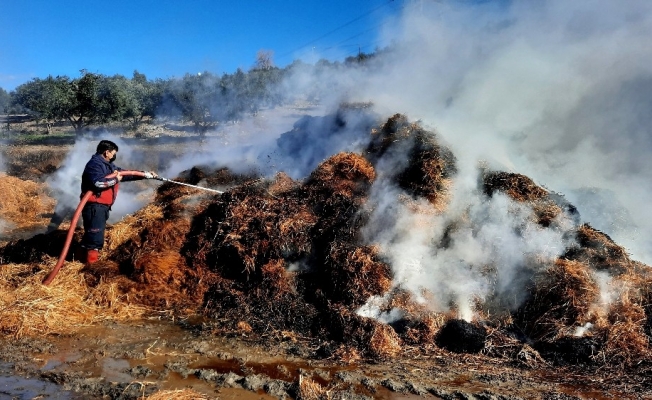 Hayvan çiftliğinde çıkan yangında tonlarca saman kül oldu