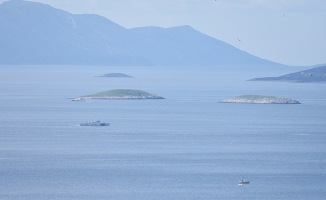 Kardak kayalıkları 25 yıl sonra ilk kez sesiz kaldı