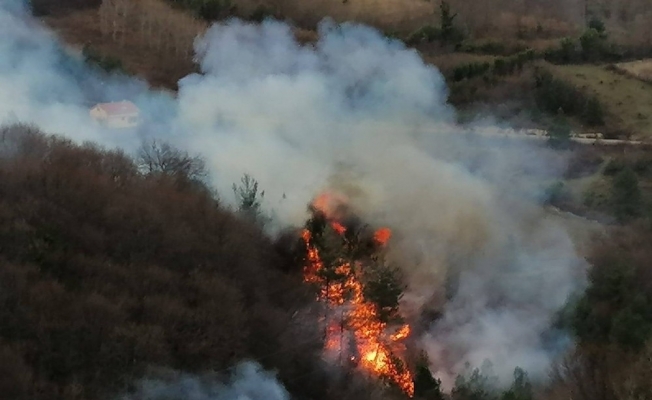 Sinop’taki orman yangını söndürüldü