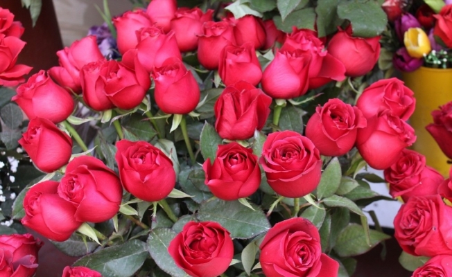 Çiçekçiler 14 Şubat’a hazır