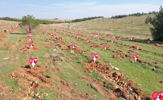 Evlenen çiftlere ömürlük hediye