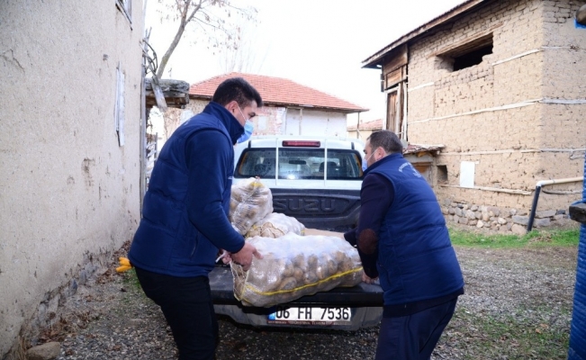 Kahramankazan Belediyesi patates üreticisinin imdadına yetişti