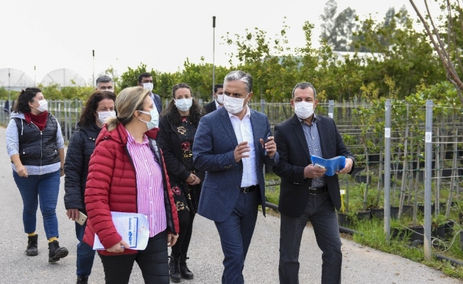 Muratpaşa Belediyesinin balkon bahçeciliği çalışmasıyla toplumu bütünleşiyor