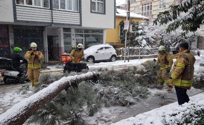 Sancaktepe’de devrilen ağaç yolu kapadı