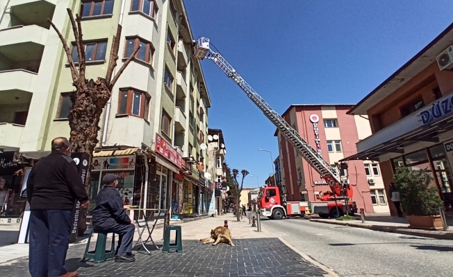 22 yıl önceki depremi gören bina, ekipleri harekete geçirdi