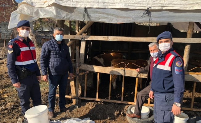 Bir aydır kayıp olan hayvanlarını jandarma drone ile buldu