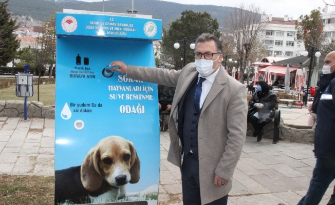 Bu projeyle hem hayvanlar beslenecek hem çevre kirliliği önlenecek