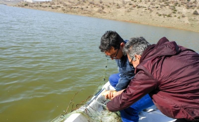Eskişehir iç sularında 3 ay sürecek olan av yasağı başladı
