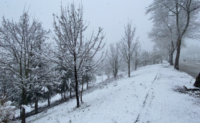 Kar yağıyı köy yollarını kapadı
