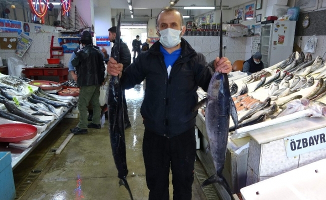 Karadeniz’de yeterli av olmayınca Trabzon Balık Halinde İzmir ve İstanbul’dan gelen balıklar satışa sunuldu