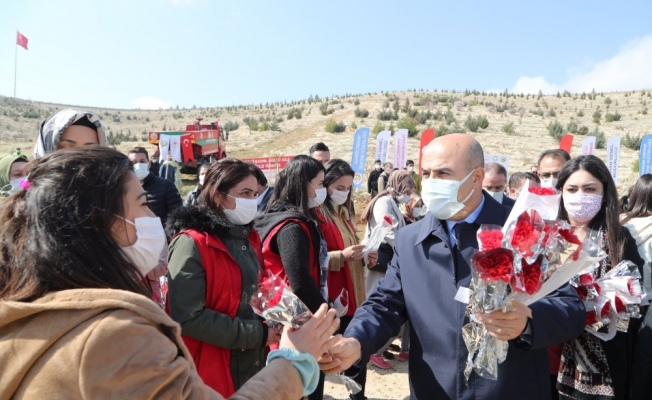 Mardin’de Dünya Kadınlar Günü’nde bin 200 fidan toprakla buluşturuldu