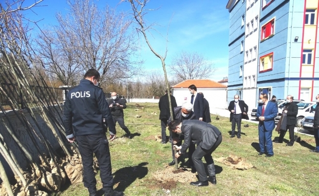 Okul bahçesine 410 fidan dikildi
