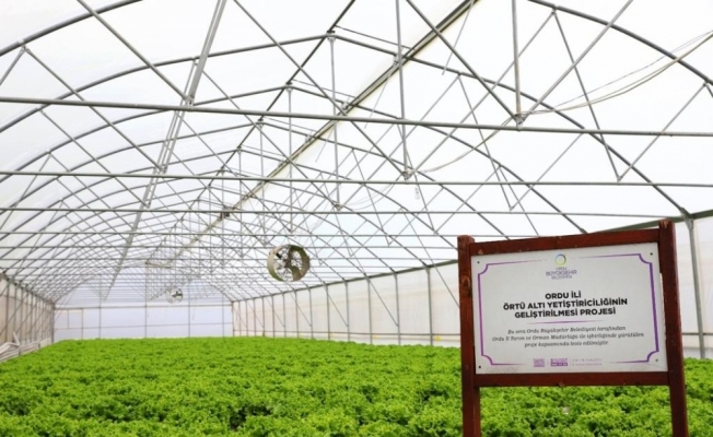 Ordu’da kışlık sebzeler yüz güldürdü