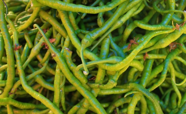 Pazarın şampiyonu kıl biber: Kilosu 30 TL