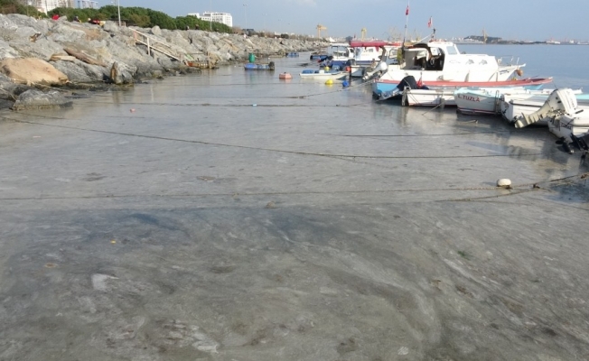 Pendik’te korkutan görüntünün gerçek nedeni belli oldu